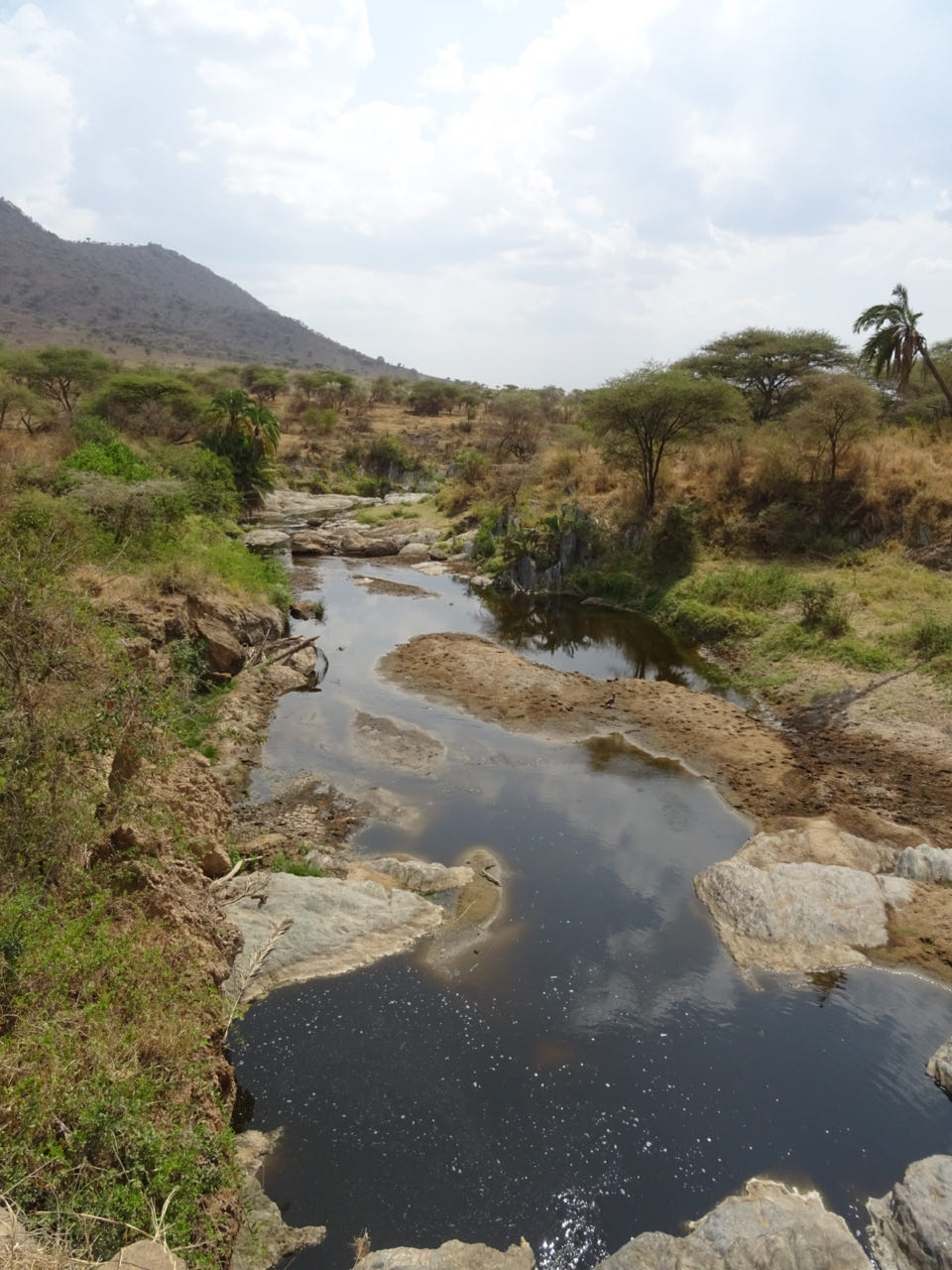 Serengeti/Tag 2