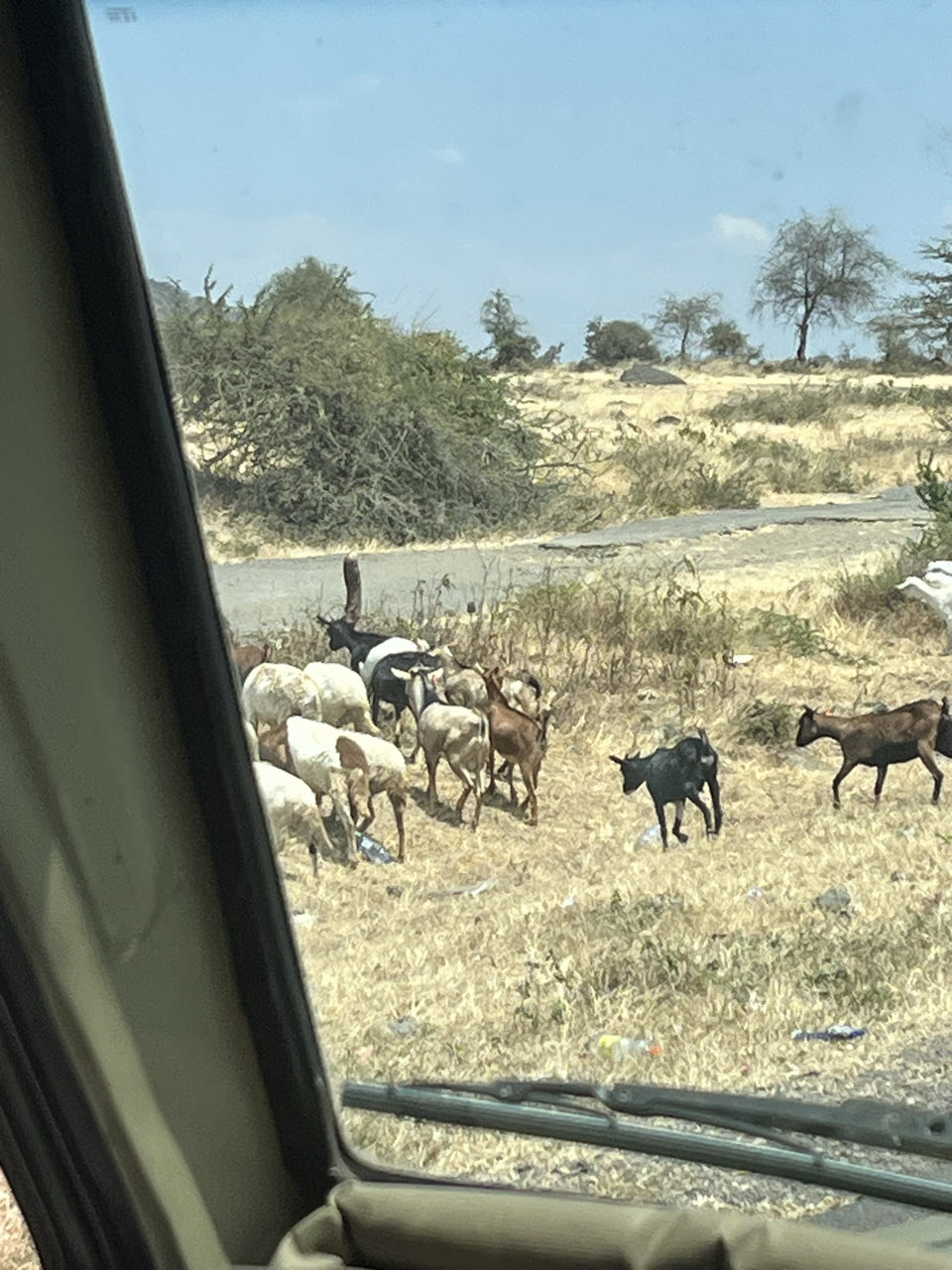 Arusha