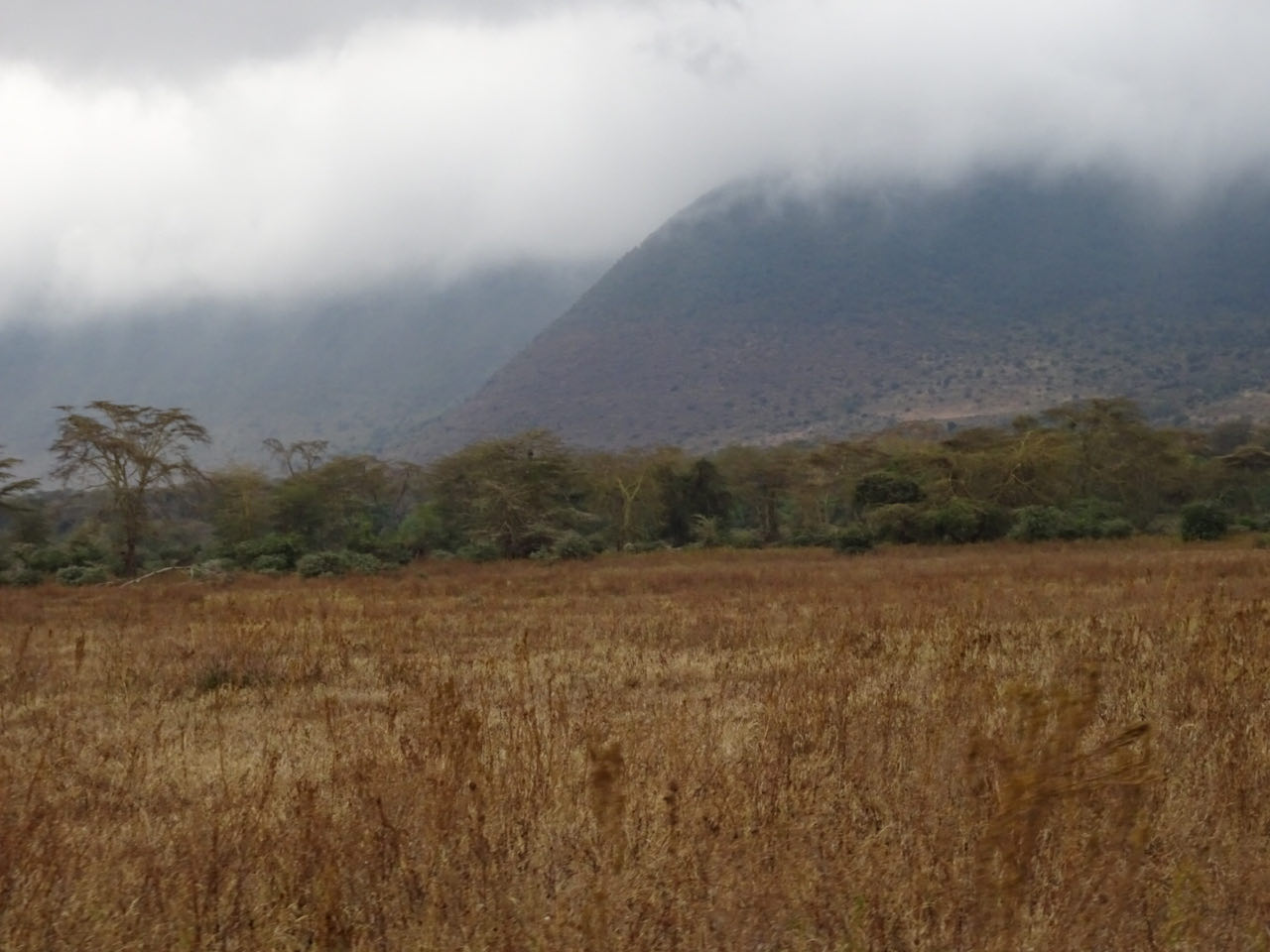 Ngongoro-Krater