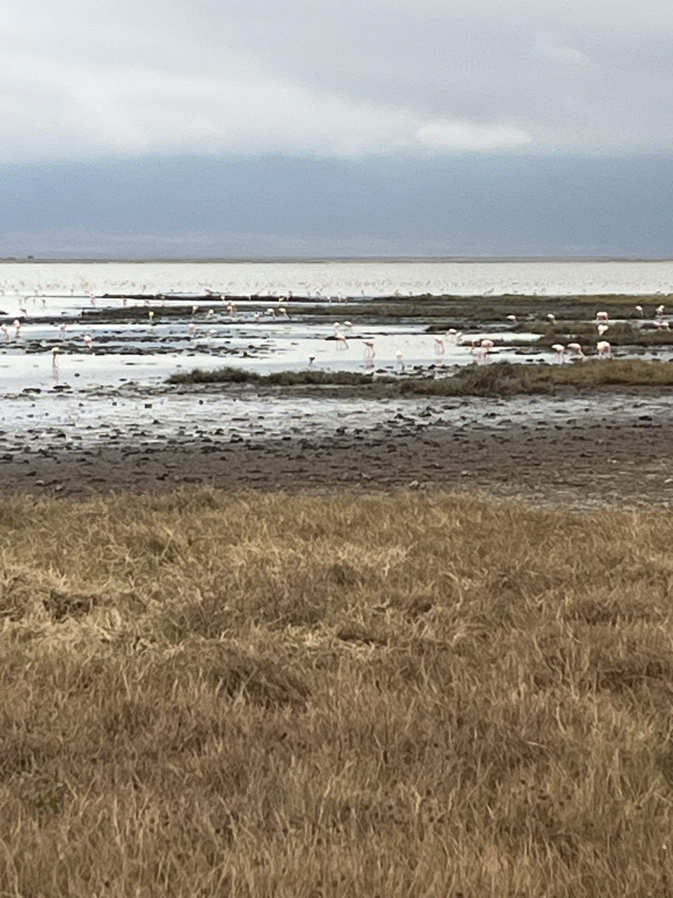 Lake Manyara National Parrk