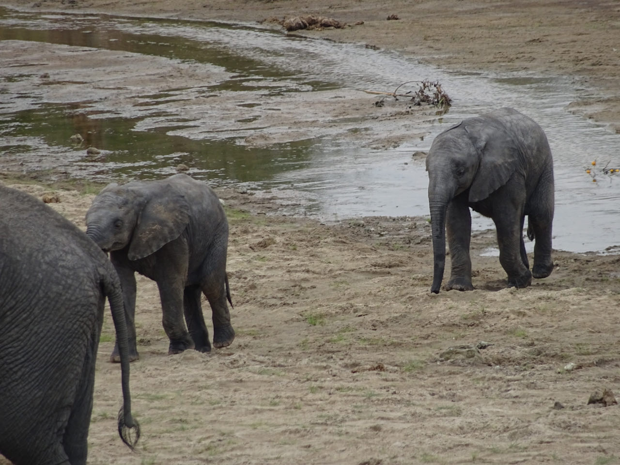Tangire Nationalpark