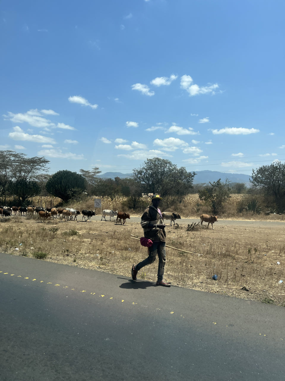 Arusha
