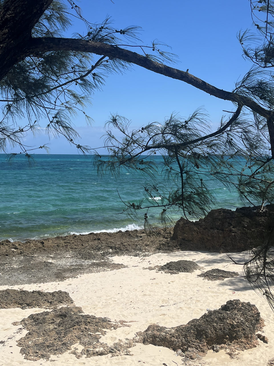 Prison Island