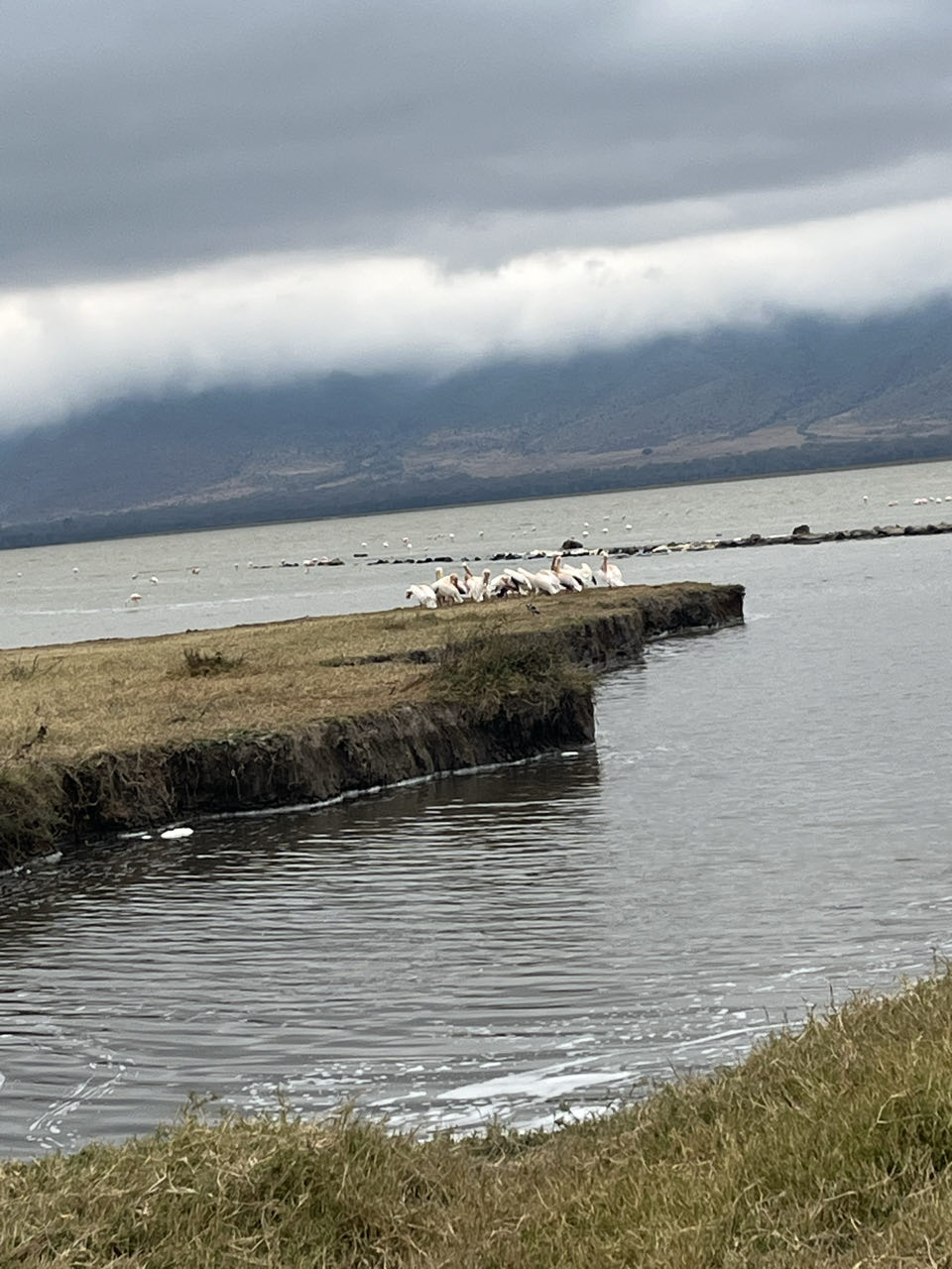 Lake Manyara National Parrk
