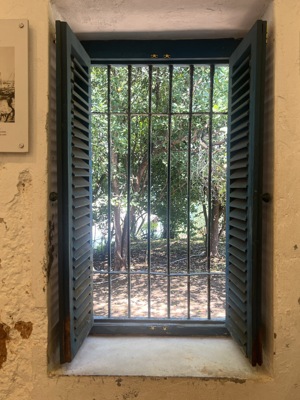 Prison Island