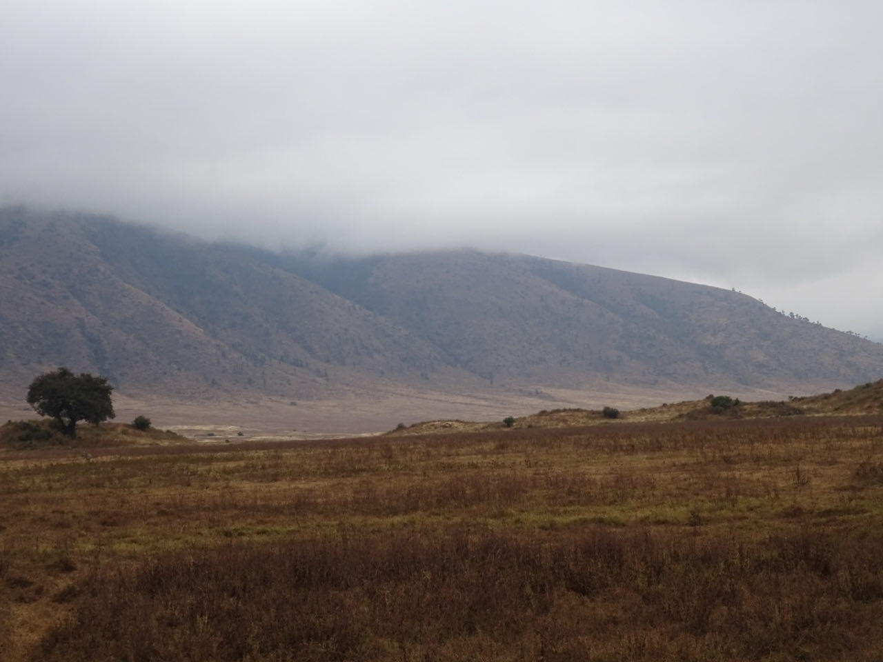 Ngongoro-Krater