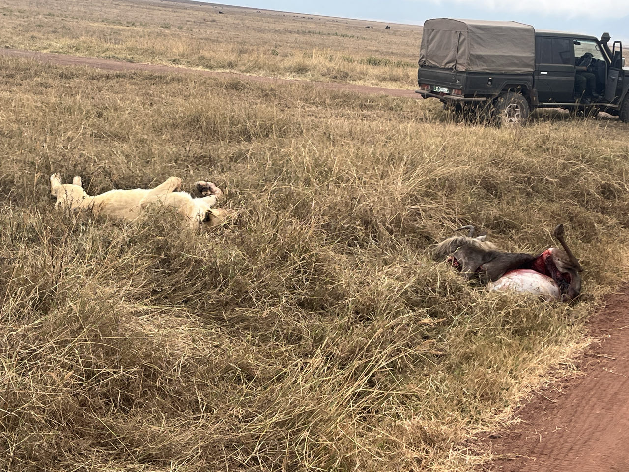 Lake Manyara National Parrk