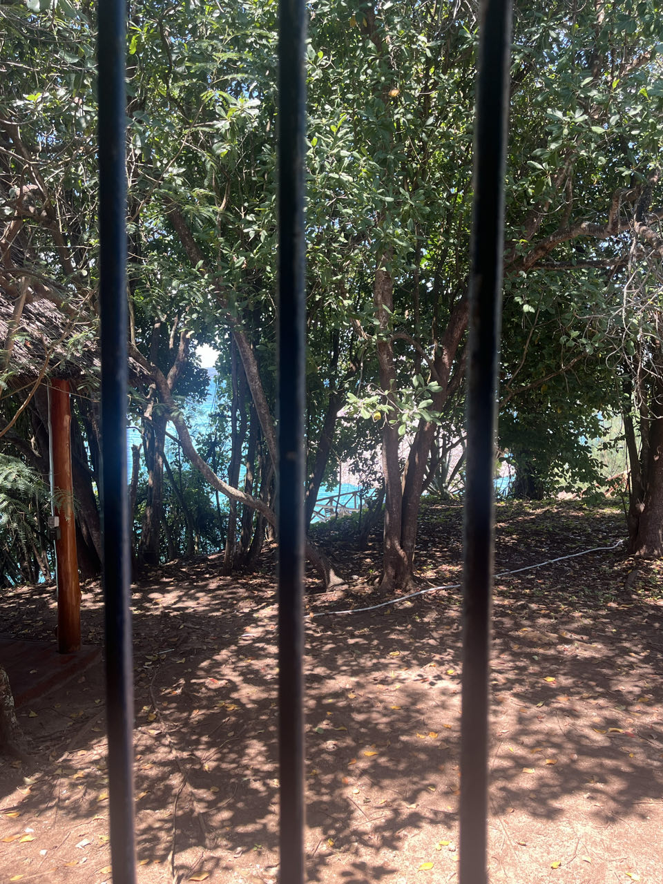 Prison Island