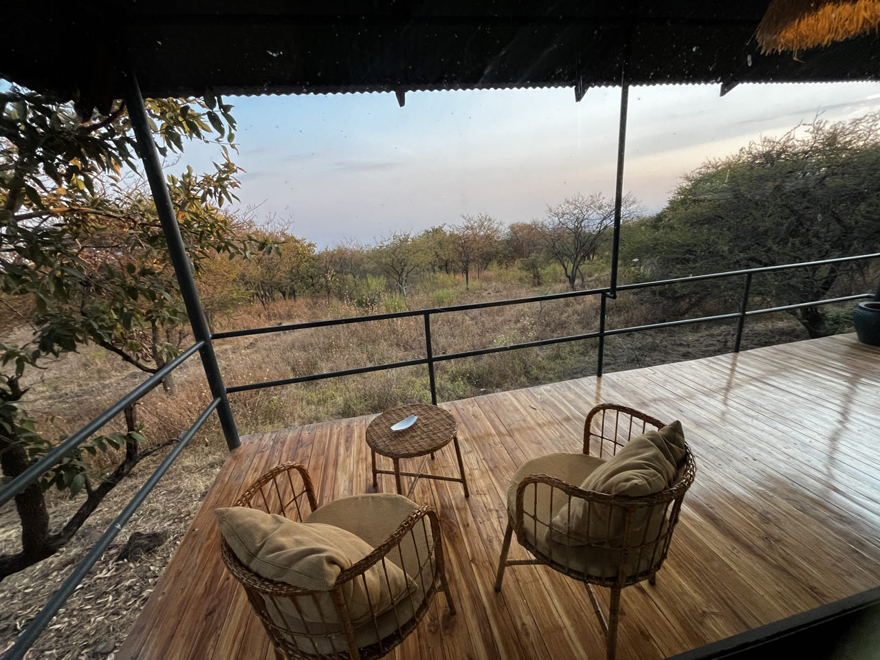 Ikoma,Serengeti Tag 3,Nrongoro Conversation Area